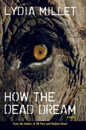 Lydia Millet: How the Dead Dream