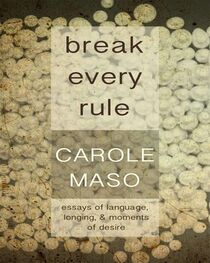 Carole Maso: Break Every Rule: Essays on Language, Longing, & Moments of Desire