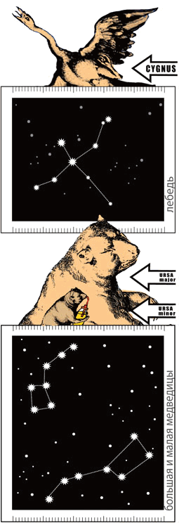 Малая Медведица очень важное созвездие потому что в него входит Полярная - фото 5