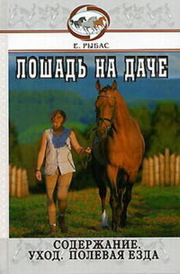 Екатерина Рыбас Лошадь на даче