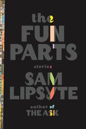 Sam Lipsyte: The Fun Parts