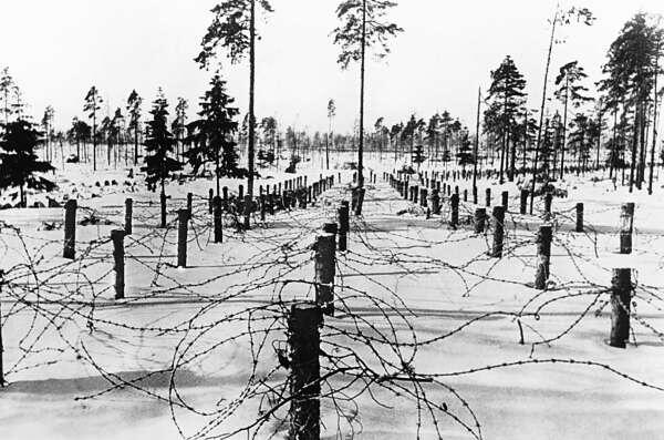 Линия колючей проволоки в пять рядов на линии Маннергейма Февраль 1940 года - фото 12