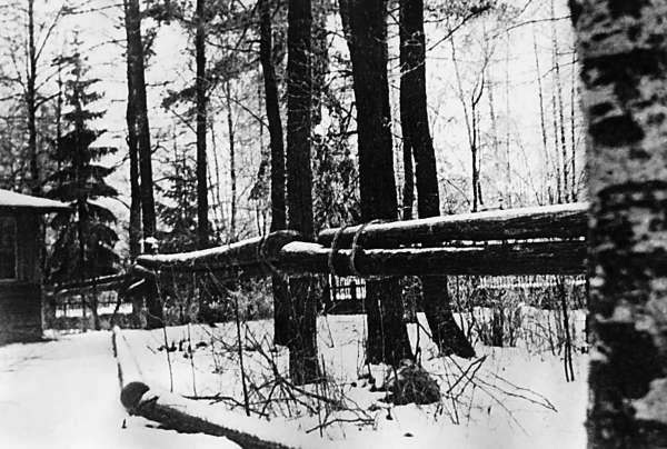 Противобашенный барьер из бревен Карельский перешеек февраль 1940 года - фото 15