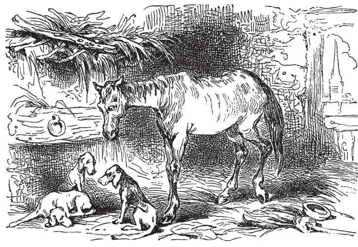 Затем Дон Кехана отправился в конюшню и внимательно осмотрел свою лошадь Это - фото 6