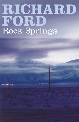 Richard Ford Rock Springs