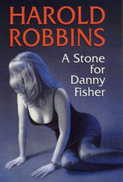 Гарольд Роббинс: Камень для Дэнни Фишера