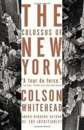 Colson Whitehead: The Colossus of New York