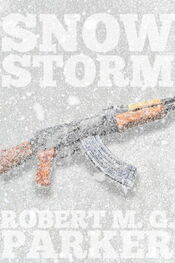 Robert Parker: Snow Storm