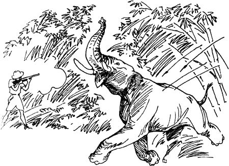 Когда страшная туша перестала содрогаться туземцы столпились около слона и - фото 48