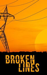James Hunt: Broken Lines