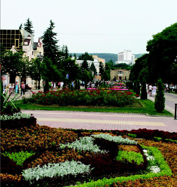 3 Курортный бульвар в Кисловодске 4 Долина роз 5 Привезённые из Киргизии - фото 4