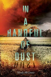 Mindy McGinnis: In a Handful of Dust