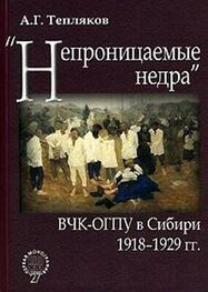 Алексей Тепляков: «Непроницаемые недра»: ВЧК-ОГПУ в Сибири. 1918–1929 гг.