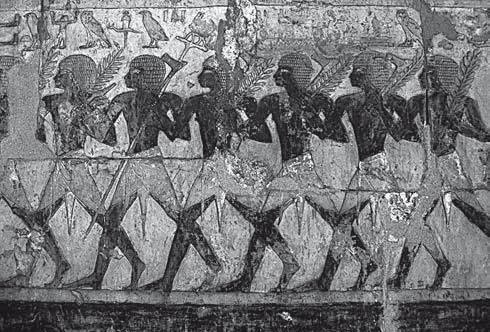 Египетские воины Экспедиция в Пунт Его нынешнее название дано вероятно изза - фото 4