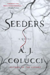 A. Colucci: Seeders