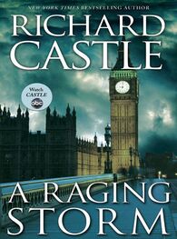 Richard Castle: A Raging Storm