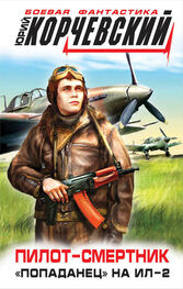 Array Литагент «Яуза»: Пилот-смертник. «Попаданец» на Ил-2
