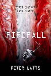 Peter Watts: Firefall