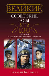 Николай Бодрихин: Великие советские асы. 100 историй о героических боевых летчиках