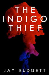 Jay Budgett: The Indigo Thief