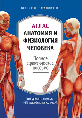 Елена Зигалова Атлас: анатомия и физиология человека. Полное практическое пособие
