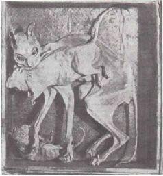 Естественная мумия кошки с крысой в зубах найденная в фундаменте снесенного - фото 71