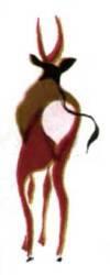 У антилопы гну есть чтото бычье гривой и хвостом похожа она на лошадь а - фото 384