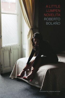 Roberto Bolaño A Little Lumpen Novelita