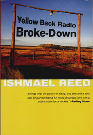 Ishmael Reed: Yellow Back Radio Broke-Down