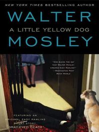 Walter Mosley: A Little Yellow Dog