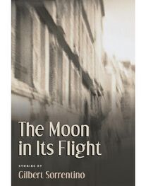 Gilbert Sorrentino: The Moon In Its Flight