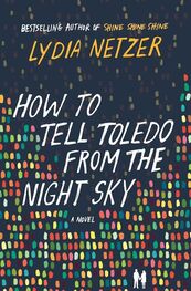 Lydia Netzer: How to Tell Toledo from the Night Sky