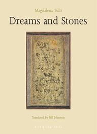 Magdalena Tulli: Dreams and Stones