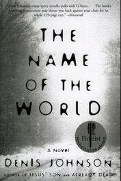 Denis Johnson: The Name of the World