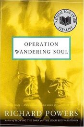 Richard Powers: Operation Wandering Soul