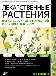 Владимир Пастушенков: Лекарственные растения. Использование в народной медицине и в быту