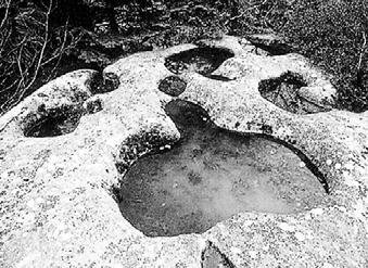 5 Каменьчашечник дождевая и талая вода собиравшаяся в углублениях на его - фото 13