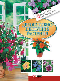 Татьяна Дорошенко: Декоративноцветущие растения