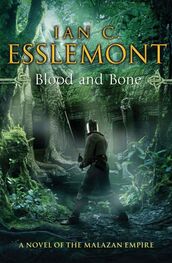 Ian Esslemont: Blood and Bone