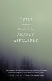 Aharon Appelfeld: Tzili: The Story of a Life