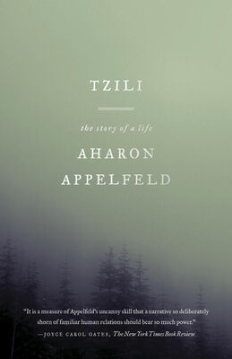 Aharon Appelfeld Tzili: The Story of a Life