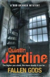 Quintin Jardine: Fallen Gods