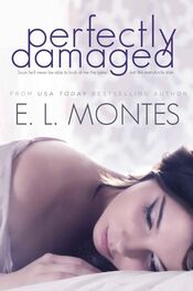 E. Montes: Perfectly Damaged