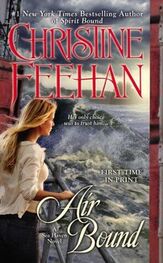 Christine Feehan: Air Bound