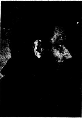 НН Дурново в заключении Конец 1937 г В 1933 г НН Дурново арестовывают - фото 9