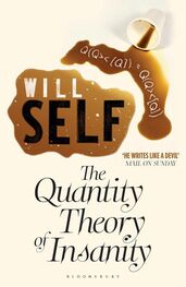 Will Self: The Quantity Theory of Insanity: Reissued