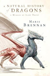 Marie Brennan: A Natural History of Dragons
