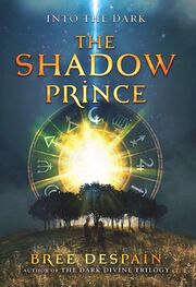 Bree Despain: The Shadow Prince