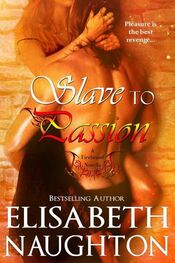 Elisabeth Naughton: Slave to Passion