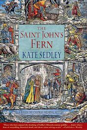Kate Sedley: The Saint John's fern